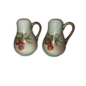 Antique‎ Hand, Painted And Signed By"Fay" Porcelain Salt And Pepper Shakers